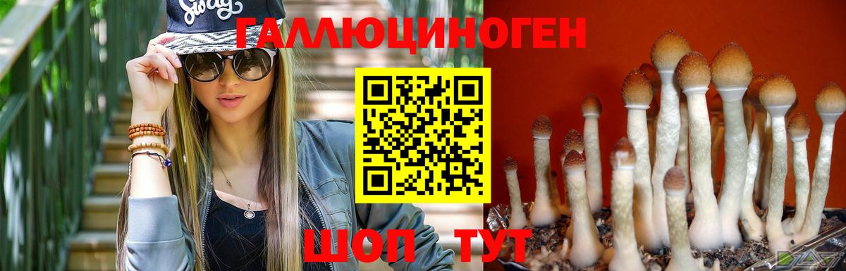 Химки  Галлюциногенные грибы GOLDEN TEACHER  Вход с VPN 