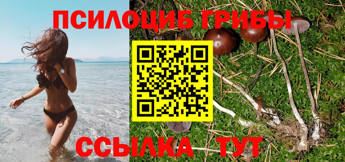 Галлюциногенные грибы мицелий Химки